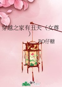 穿越之家有丑夫(女尊)