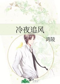 冷夜追風