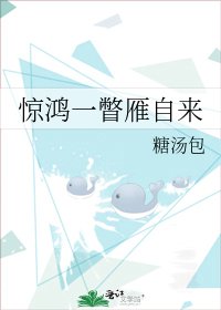 驚鴻一瞥雁自來