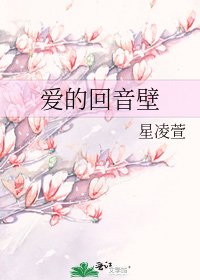 《爱的回音壁》
