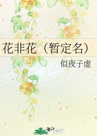 《花非花(暂定名)》