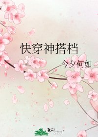 快穿神搭檔