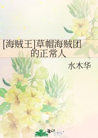 [海贼王]草帽海贼团的正常人