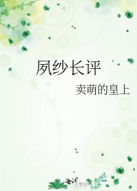 夙纱长评