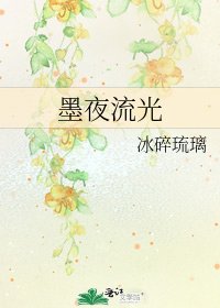 《墨夜流光》