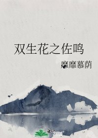 双生花之佐鸣