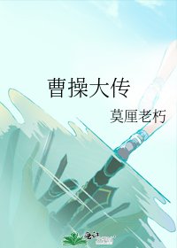 《曹操大傳》
