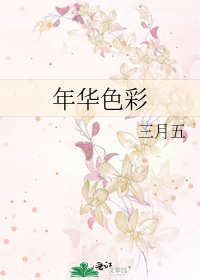 年华色彩
