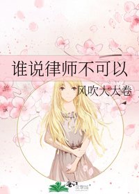 谁说律师不可以
