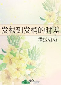 髮根到髮梢的時差