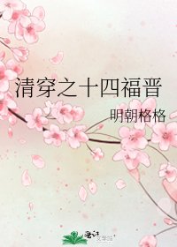 清穿之十四福晋