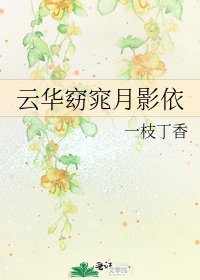《云华窈窕月影依》