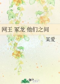 网王 冢龙 他们之间