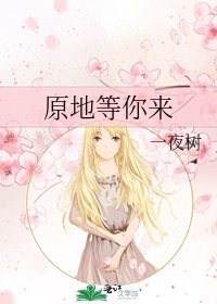 原地等你来