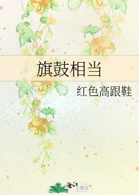 《旗鼓相当》