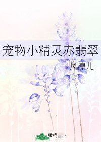 《宠物小精灵赤翡翠》