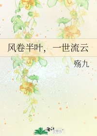 《风卷半叶,一世流云》