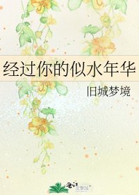 经过你的似水年华