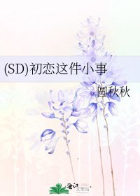 (SD)初恋这件小事
