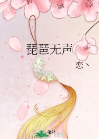 《琵琶无声》
