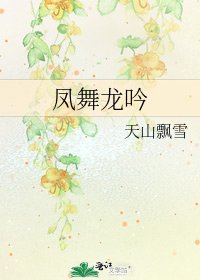 凤舞龙吟