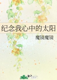 纪念我心中的太阳