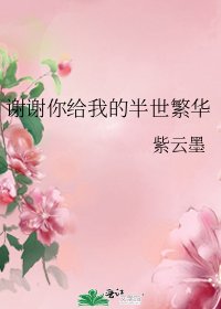 谢谢你给我的半世繁华