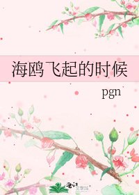 海鷗飛起的時候