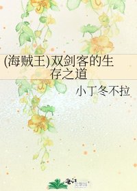 (海贼王)双剑客的生存之道