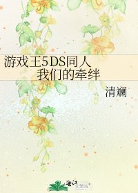 遊戲王5DS同人 我們的牽絆