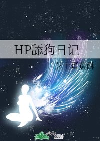 HP舔狗日记