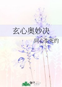 玄心奥妙决