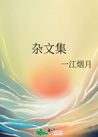 杂文集