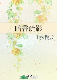 《暗香疏影》