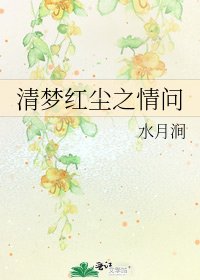 清夢紅塵之情問