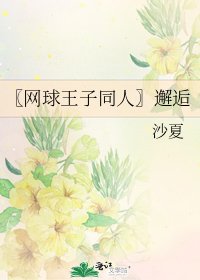 〖网球王子同人〗邂逅