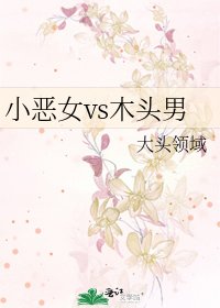 小恶女vs木头男