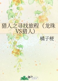 猎人之寻找旅程(龙珠VS猎人)