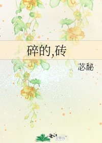 《碎的,砖》