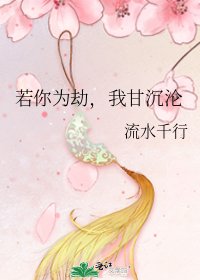 若你为劫,我甘沉沦