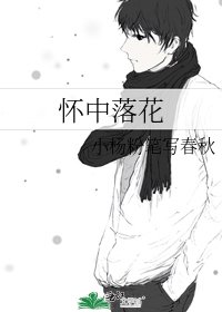 怀中落花