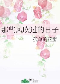 那些风吹过的日子