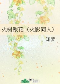 火树银花(火影同人)