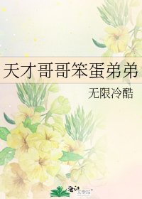 天才哥哥笨蛋弟弟