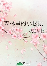 森林裡的小松鼠