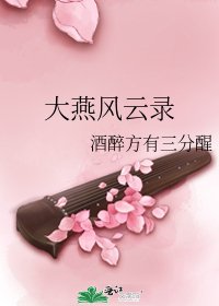 《大燕风云录》