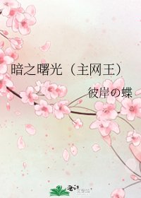 暗之曙光(主网王)