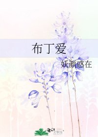 布丁爱