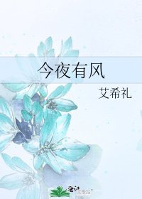 今夜有风