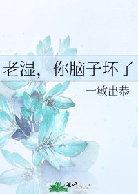 《老濕,你腦子壞了》
